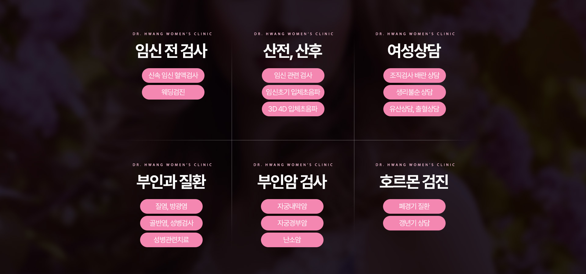 닥터황여성의원 검사항목